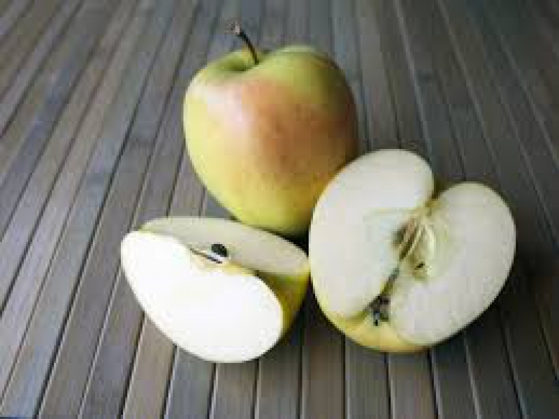 Pomme Chanteclerc
