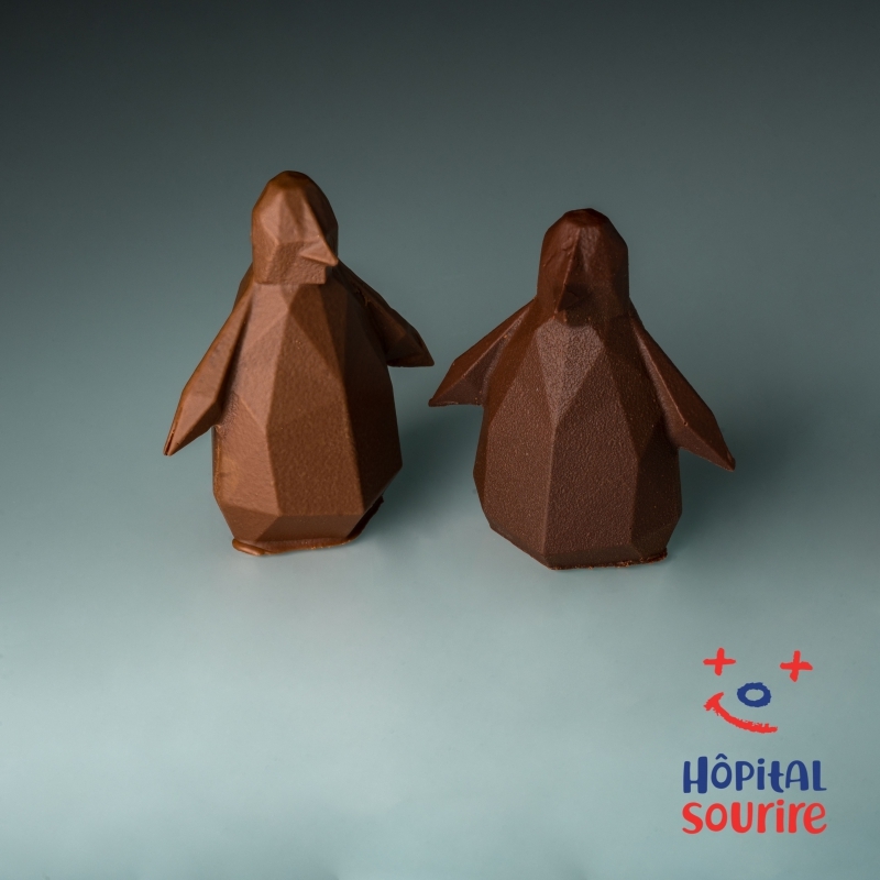 Duo de pingouins origami (80g)