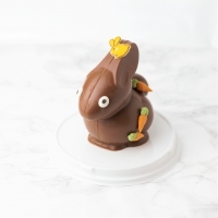 Pan Pan le lapin 